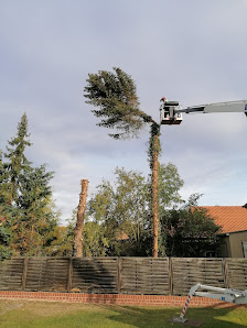 GalaBau Dannenberg GbR Garten & Landschaftsbau Pflasterarbeiten Tiefbau Baumpflege
