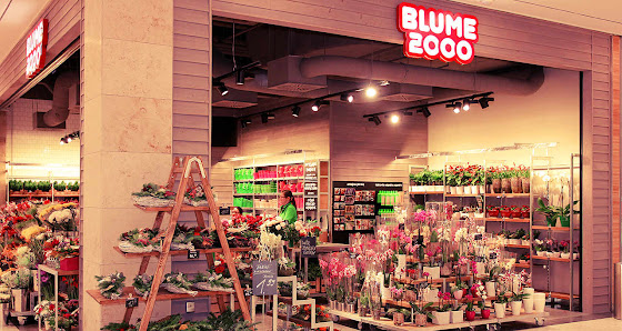 BLUME2000 Flensburg Citti-Park