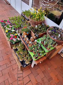 Trend Flowers Blumen Wedel
