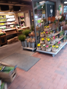BLUME2000 Hamburg Wedel