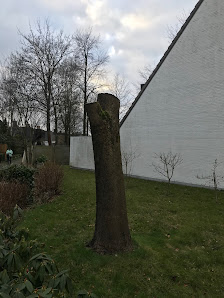 Ihr Gartengestalter Malte Kwiatkowski