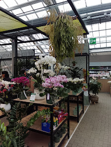 Gartencenter Rostock GmbH
