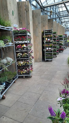Gartencenter Rostock GmbH