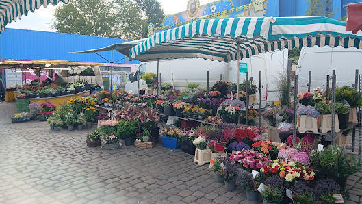 Blumen-Thun , Inh. Stephanie Beutling