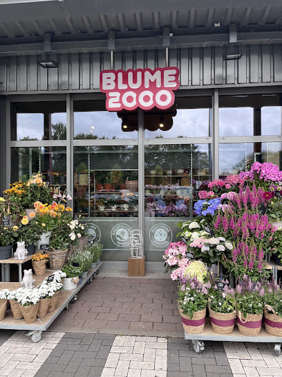 BLUME2000 Elmshorn Hayunga