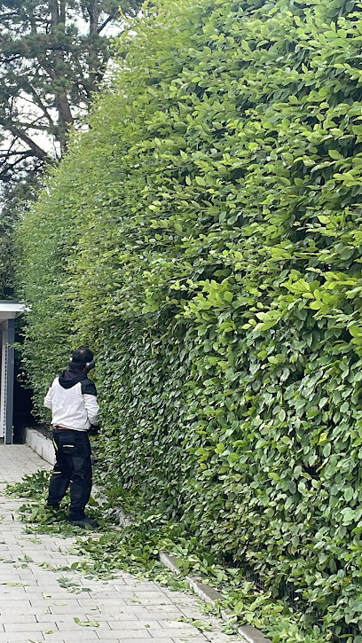 AS-Gartenservice