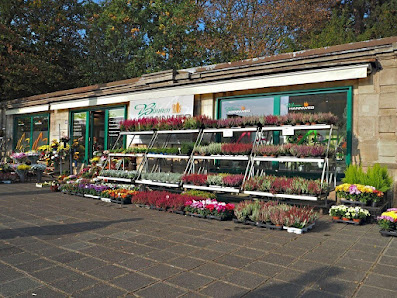 Blumen Hannweg | Floristik für alle Anlässe