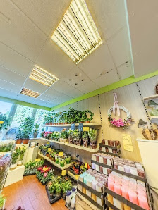 Blumenhaus Breckwoldt GmbH & Co. KG