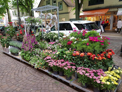 BLUME2000 Ahrensburg