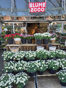 BLUME2000 Rendsburg