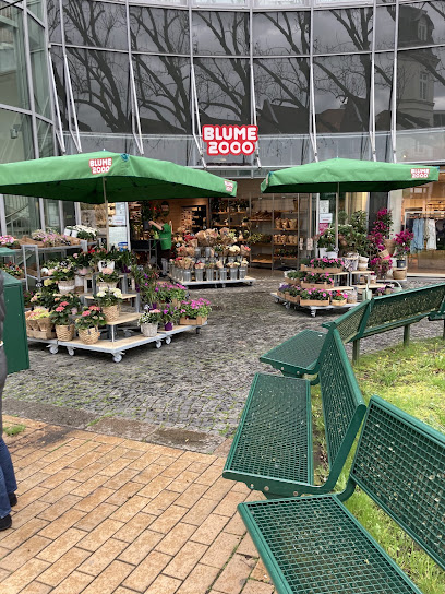 BLUME2000 Rendsburg
