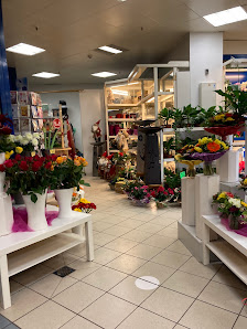 Blumen-Insel Husum