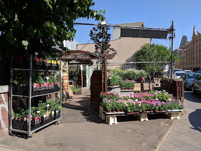 Blumen Hetzer | Berlin