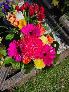 myFlowers Geesthacht