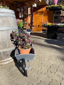 Flowers & Coffee
