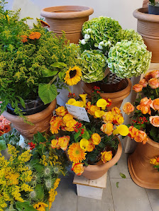 Meine Blumenwelt