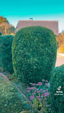 DK Daar Garten- und Landschaftsbau e.K