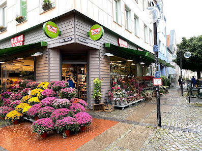 BLUME2000 Eckernförde