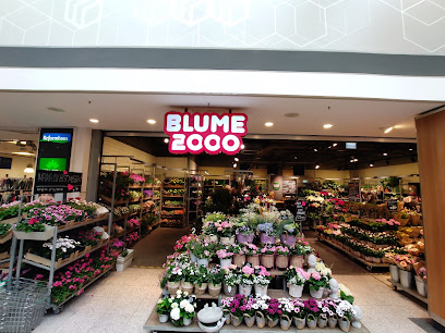 BLUME2000 Norderstedt Herold Center