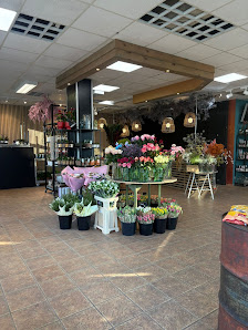 FlowersDream