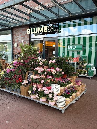BLUME2000 Reinbek