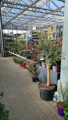 OBI Gartencenter Bad Segeberg