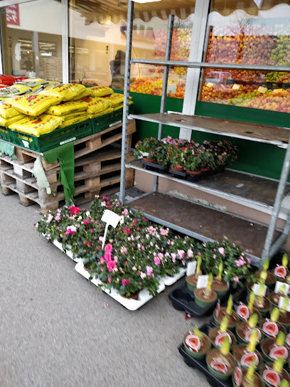 Obst und Gemüse + Blumen