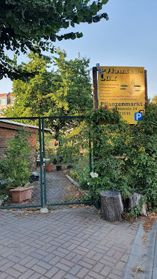 Pflanzen-Lux