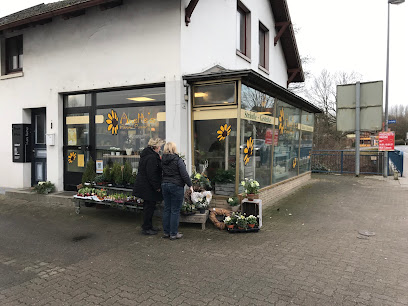 Mölln