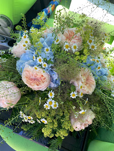 Blumen Westphal