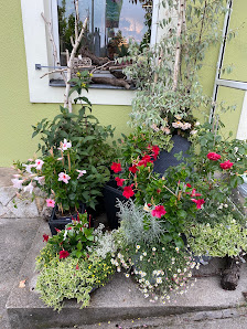 Blumen Walter
