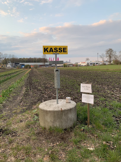 Blumen selbstschneiden