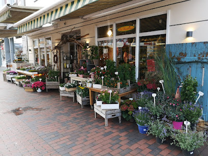 Die Blumenwiese