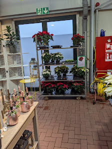 Neumanns Gartenwelt