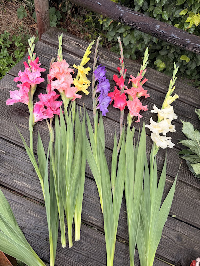 Blumenmarkt in Tornesch