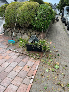 Reinigung und Gartenpflege I Cicek