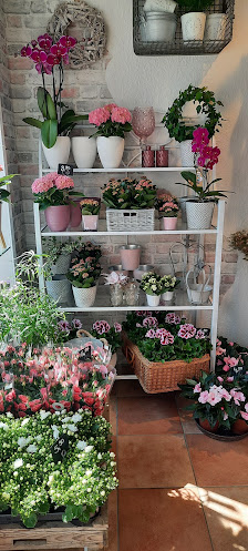 Blumenzauber