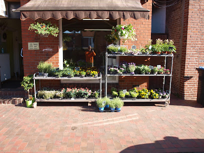 Blumen Thiel
