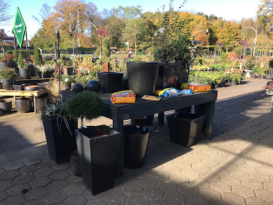 Scharrel Grünes Zentrum Heist