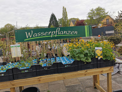 Scharrel Grünes Zentrum Heist