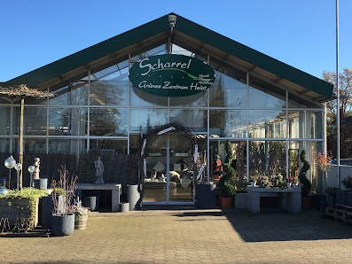 Scharrel Grünes Zentrum Heist