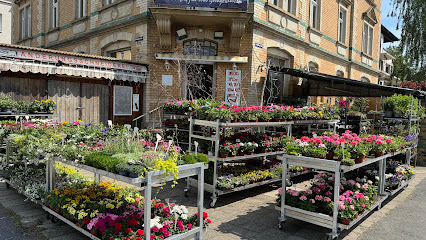 Blumen Bieniek