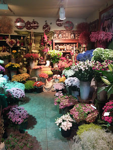 Blütezeit Blumen & Accessoires