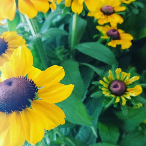 Connys Blumendiele