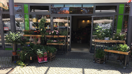 Blütenschmiede - Inh. Floristmeisterin Sandra Swoboda