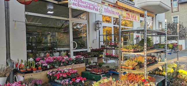 Lilien Blumen