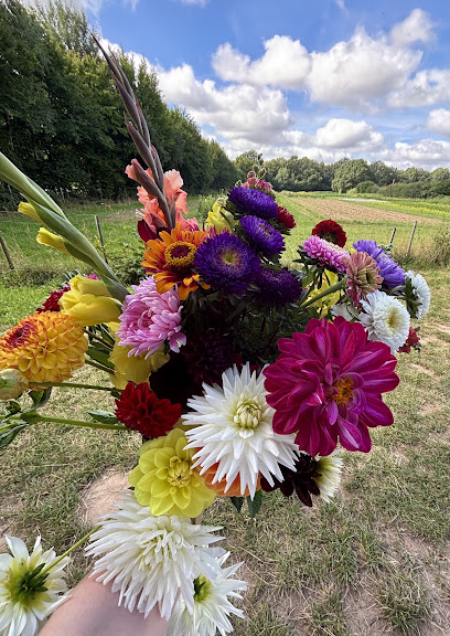 Blumen selber pflücken