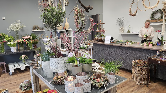 Die Zauberblüte Krummesse Lübeck