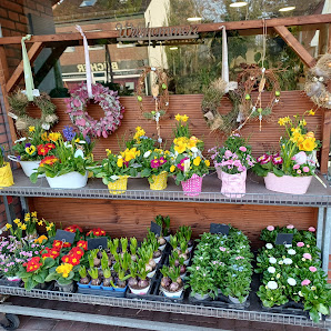 Blumenhaus Hänel