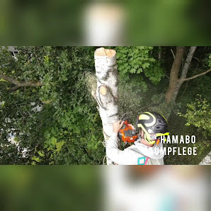 HAMABO Baumpflege
